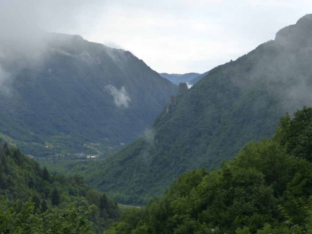 Il rigoglioso verdeggiar dell'estate - Gaia Erbe