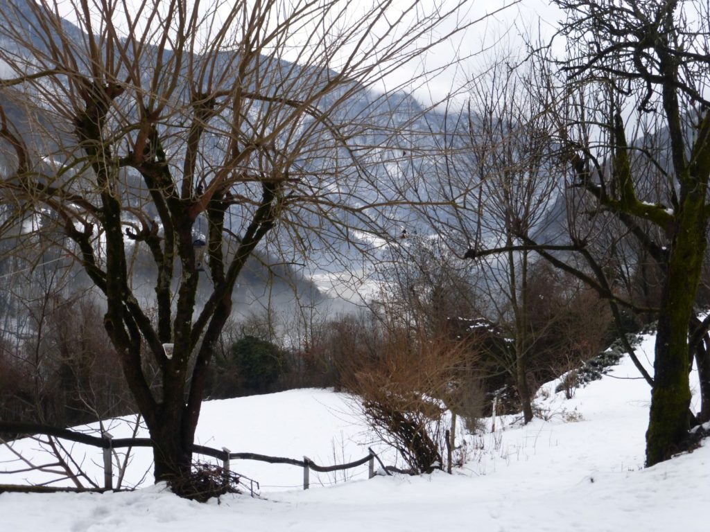 L'inverno in cortile - Gaia Erbe