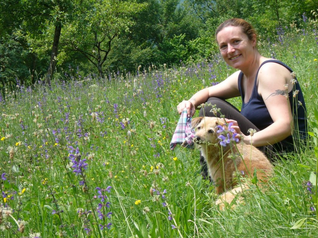 Salvia dei prati, ed è quasi estate - Gaia Erbe